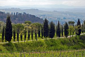 Wein- und Genussreise Toskana	